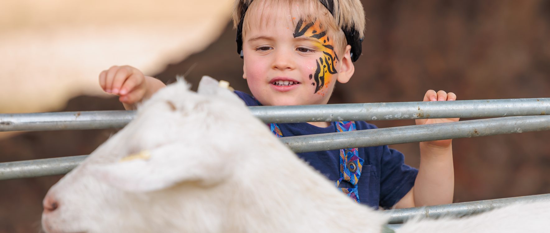 Young child with a semi tiger face paint, engaging with one of the goats.