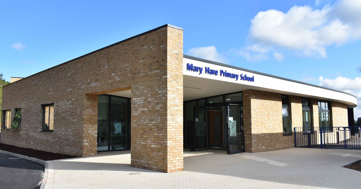 Primary School WINS Inclusivity Award | Mary Hare School