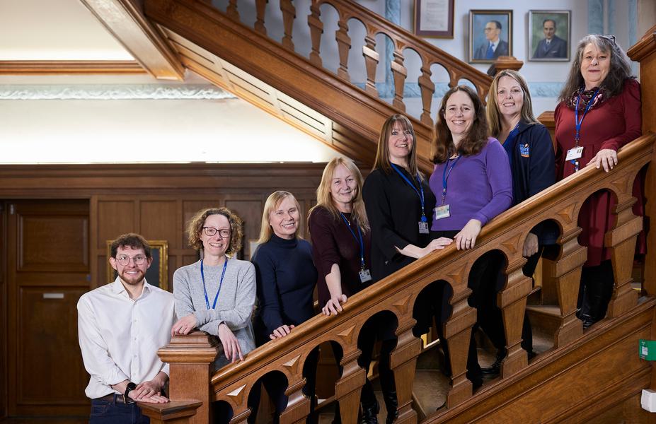 A line of staff on the stairs